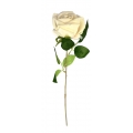 Single Rose Ivory 2.5"